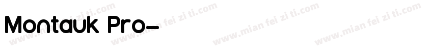 Montauk Pro字体转换